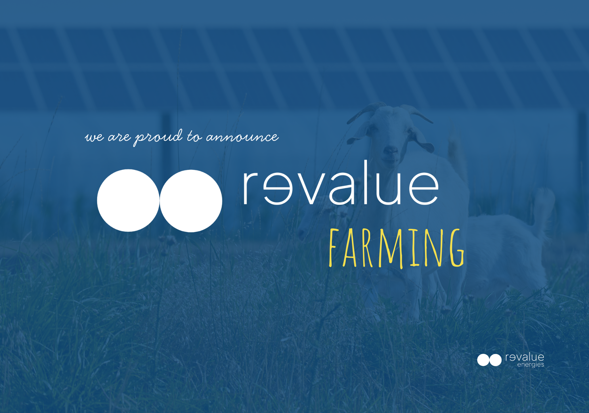 Revalue Farming